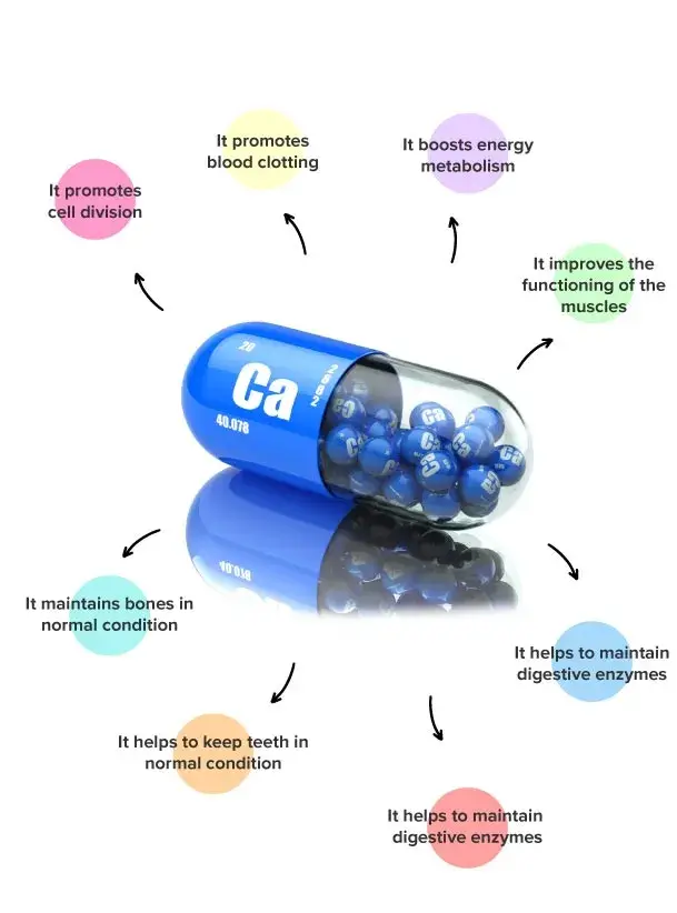 Calcium properties Calcium properties