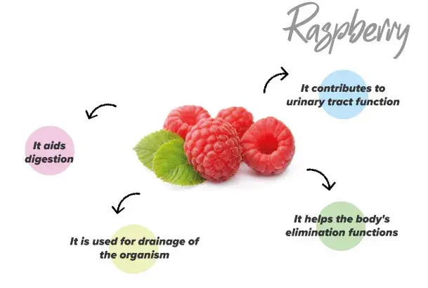 Functions of raspberries
