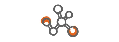 homocysteine metabolism homocysteine metabolism