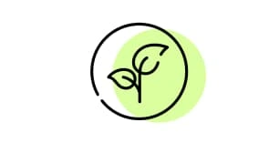 Vegetarians Vegetarians