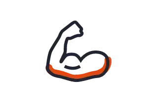 muscle