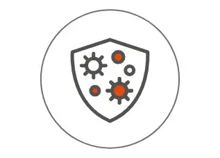 normal inmune system