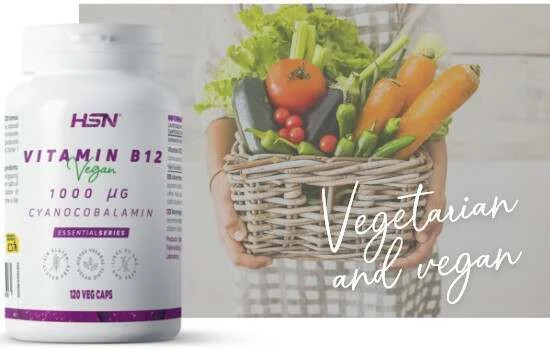 Vegan vegetarians vitamin b12 Vegan vegetarians vitamin b12