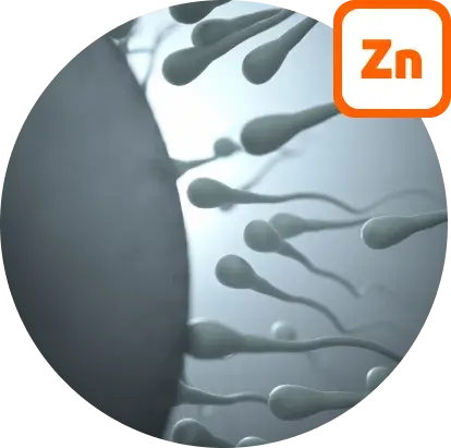 zinc