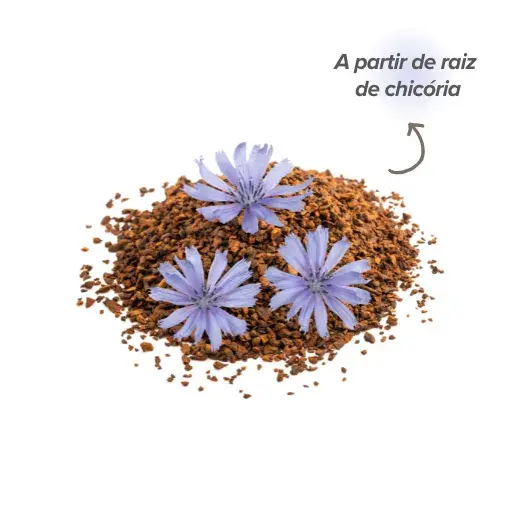 Inulina de raiz de chicória