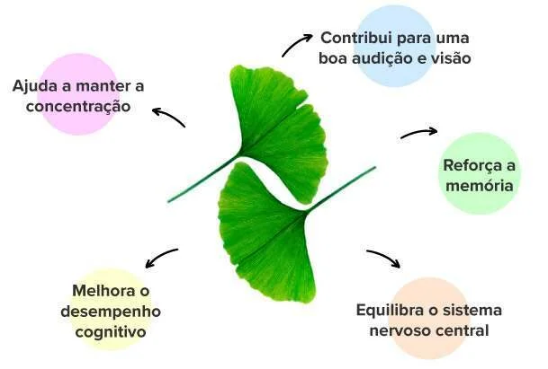 Efeitos dos comprimidos de ginkgo biloba
