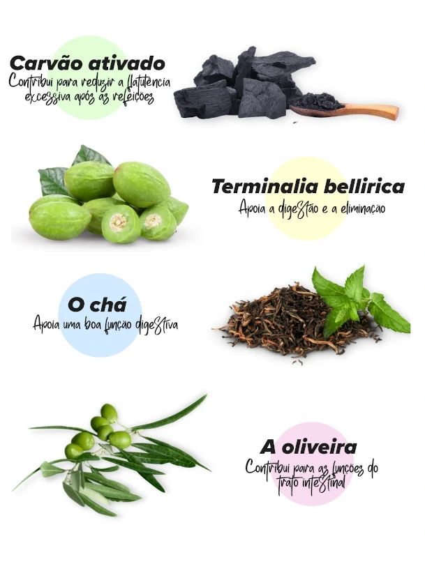 Como &eacute; que os comprimidos nos podem ajudar a livrar-nos dos gases intestinal?