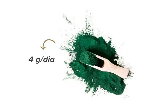 Quantidade de spirulina