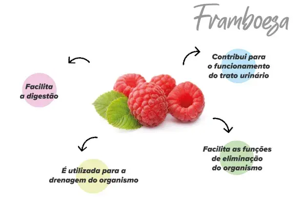 Fun&ccedil;&otilde;es das framboesas