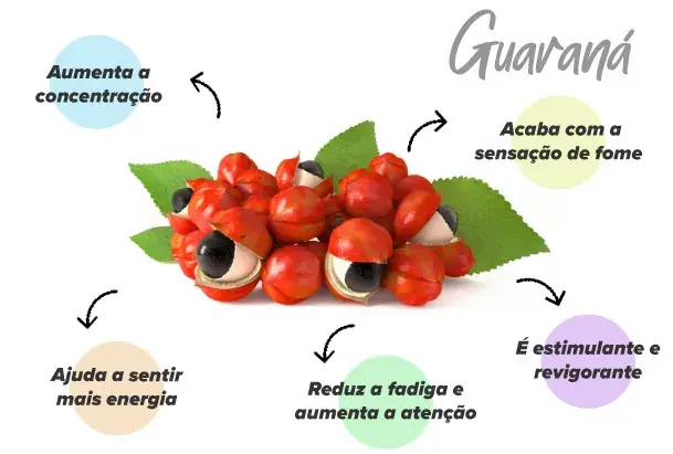 Fun&ccedil;&otilde;es do Guaran&aacute;
