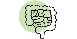 Metabolismo da homociste&iacute;na