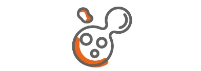 processo de divis&atilde;o celular