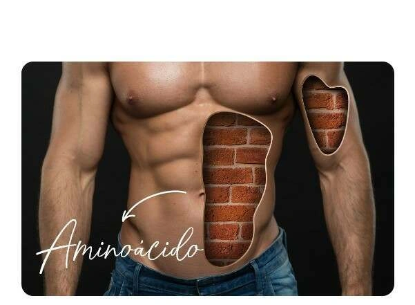 Tipos de amino&aacute;cidos que podes comprar na HSN