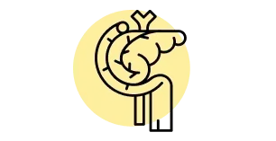 Metabolismo dos l&iacute;pidos