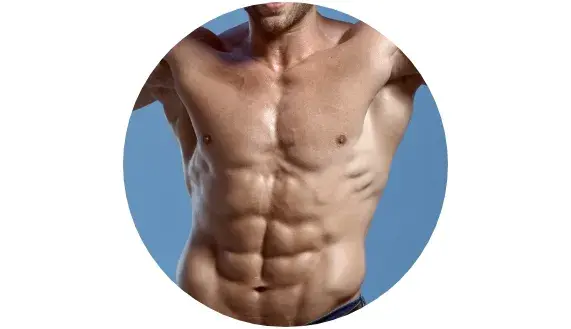 Fun&ccedil;&atilde;o normal do sistema muscular