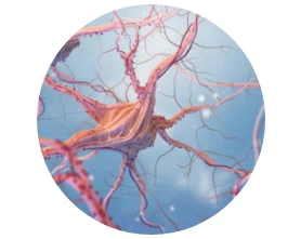 fun&ccedil;&atilde;o neurol&oacute;gica e psicol&oacute;gica