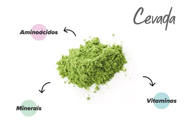Nutrientes da cevada