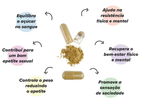 Extrato de Damiana com Zinco