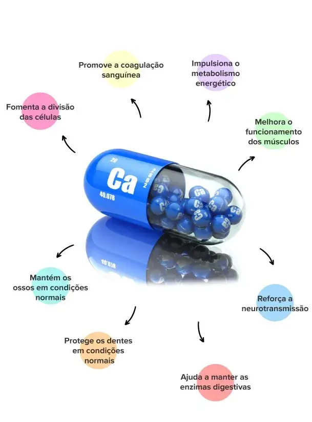 Propriedades do c&aacute;lcio