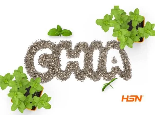 Raz&otilde;es para comprar sementes de chia
