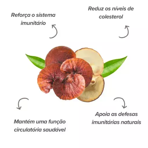 Efectos del reishi