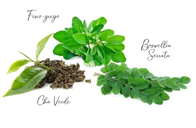 O que s&atilde;o os suplementos para baixar o colesterol?