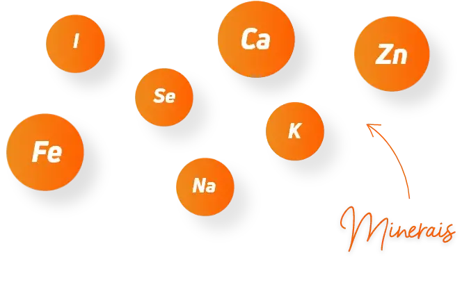 O que s&atilde;o suplementos minerais?