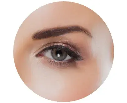 Manuten&ccedil;&atilde;o da vis&atilde;o