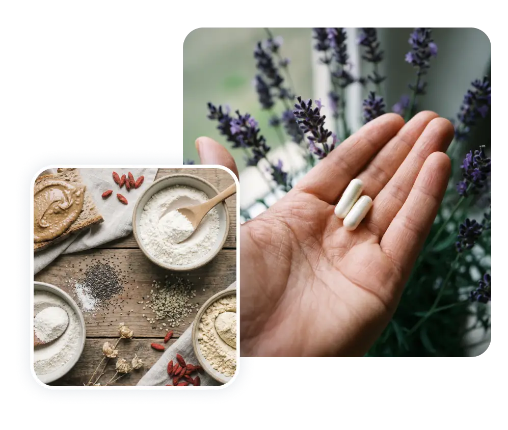Suplementos alimentares naturais ao melhor preço