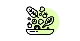 Alimentacao Alimentacao